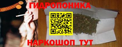 дурь Сланцы