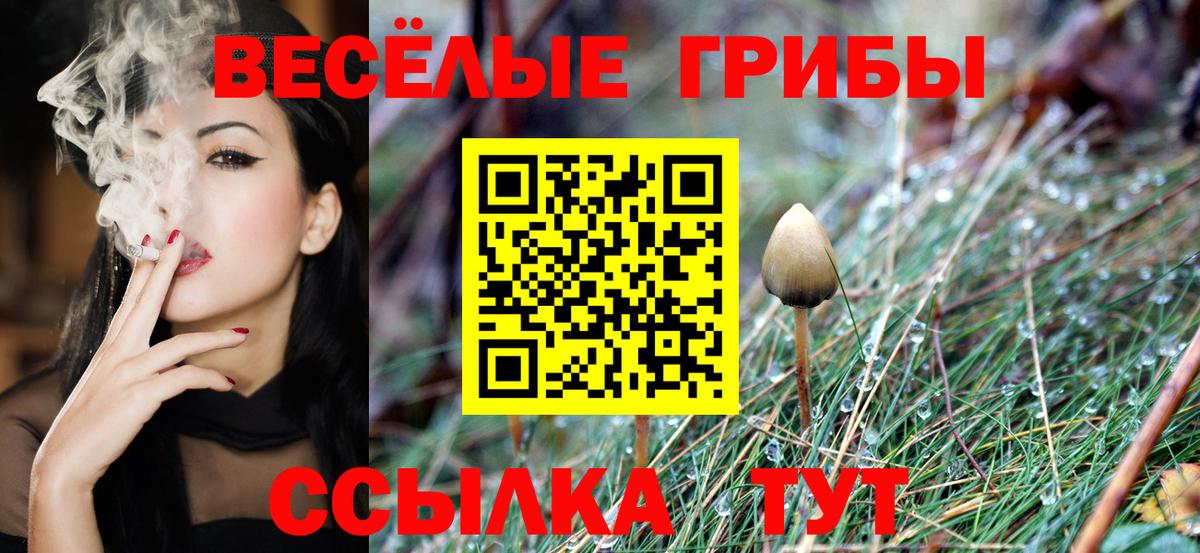 Псилоцибиновые грибы прущие грибы Полысаево